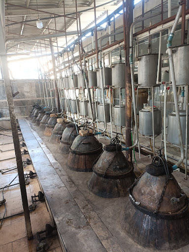 شرکت گلاب علی اکبر
