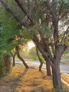 میدان چهارباغ