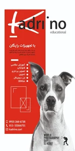 آموزشگاه عکاسی کادرینو 5