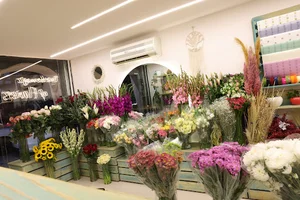 گل زیما