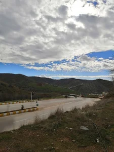 مرغ فروشی حسن مرادی
