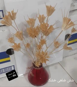 تامین کننده گل خشک 5