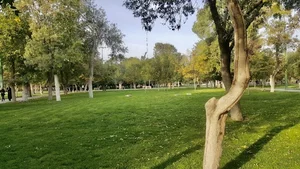 پارک گلبرگ