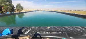 لوازم کشاورزی کوشایی فروش پمپ .ورق استخر