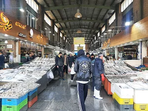 بازار ماهی بعثت