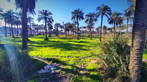 شکاره یک