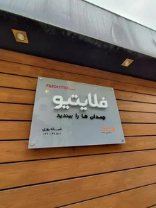 فلایتیو 2