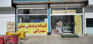 لبنیات و بستنی سنتی سهرابی 2