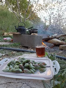 مزرعه چشمه خانگلدی جاسب اباد
