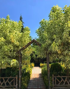MOHSEN'S FLOWER GARDEN باغ گل محسن