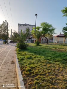 پارک شقایق 2