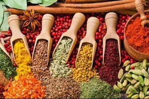 عطاری مهرداد