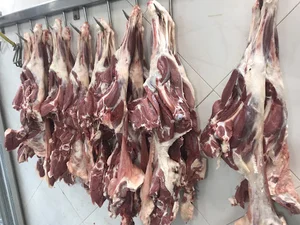 سوپر گوشت امید