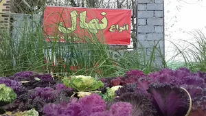 گل فروشی و نهالستان احمدی