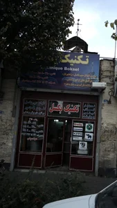 بازرگانی تکنیک بکسل 2
