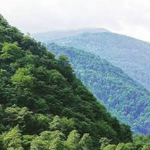 روستای افرابن