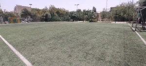زمین چمن گسترش اروند