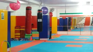 باشگاه ورزشی سورنا