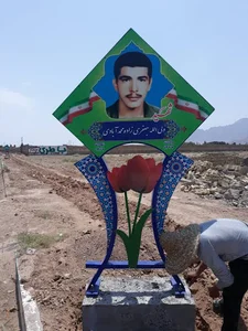 گروه تولیدی خدماتی آراکس