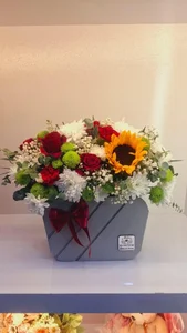 گالری گل بالسا 5
