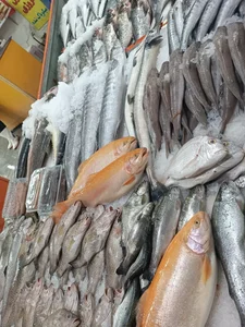 ماهی سرای ناخدا 5