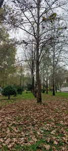 بوستان اندیشه 2