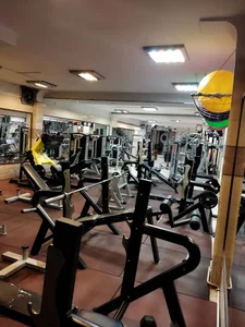 باشگاه بدنسازی بانوان خانم میرزایی کارشناس ارشد متخصص لاغری . چاقی .متخصص ناهنجاری و حرکات اصلاحی