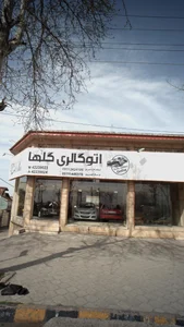 اتومبیل شهر سبز 3