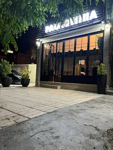 کافه پالونیا-cafe.paulownia