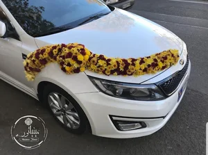 مینیاتورگل