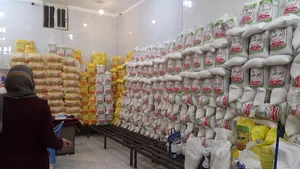 برنج فروشی مهرطلب