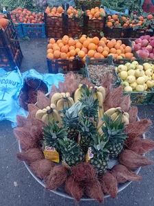 سوپر میوه قربان
