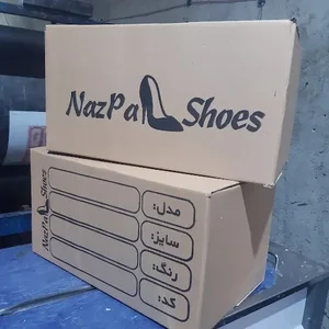 کارتن سازی همدان آريا