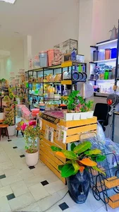 زیبا پلاسکو قم
