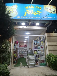 پت شاپ جینجر 2