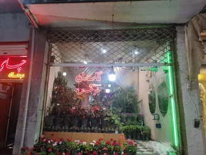گلستان نرگس 4