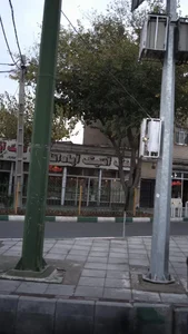 سنگ آنتیک آپادانا