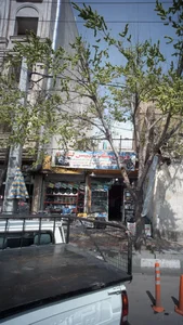 فروشگاه بیس لند 3