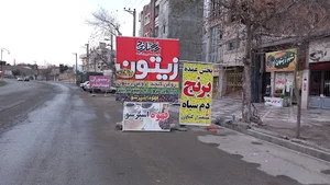 پخش زیتون