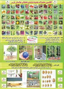 نهالستان پارس