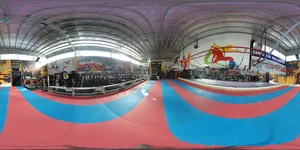 باشگاه mma آرون