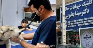 دامپزشکی دکتر نانواباشی