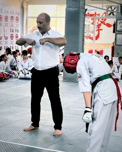 آکادمی کیوکوشین کاراته