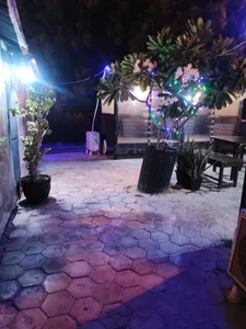 چشم‌انداز 2