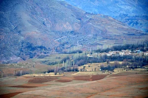 بوتیک021