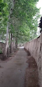هیئت امام حسین(ع)_باغ براتی