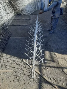 طهران حفاظ 5