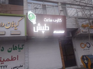 ساعت طپش