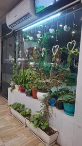 کافه هپی 2