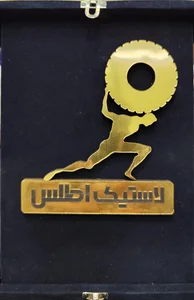 گروه بازرگانی اطلس تایر